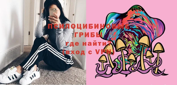 первитин Алексин